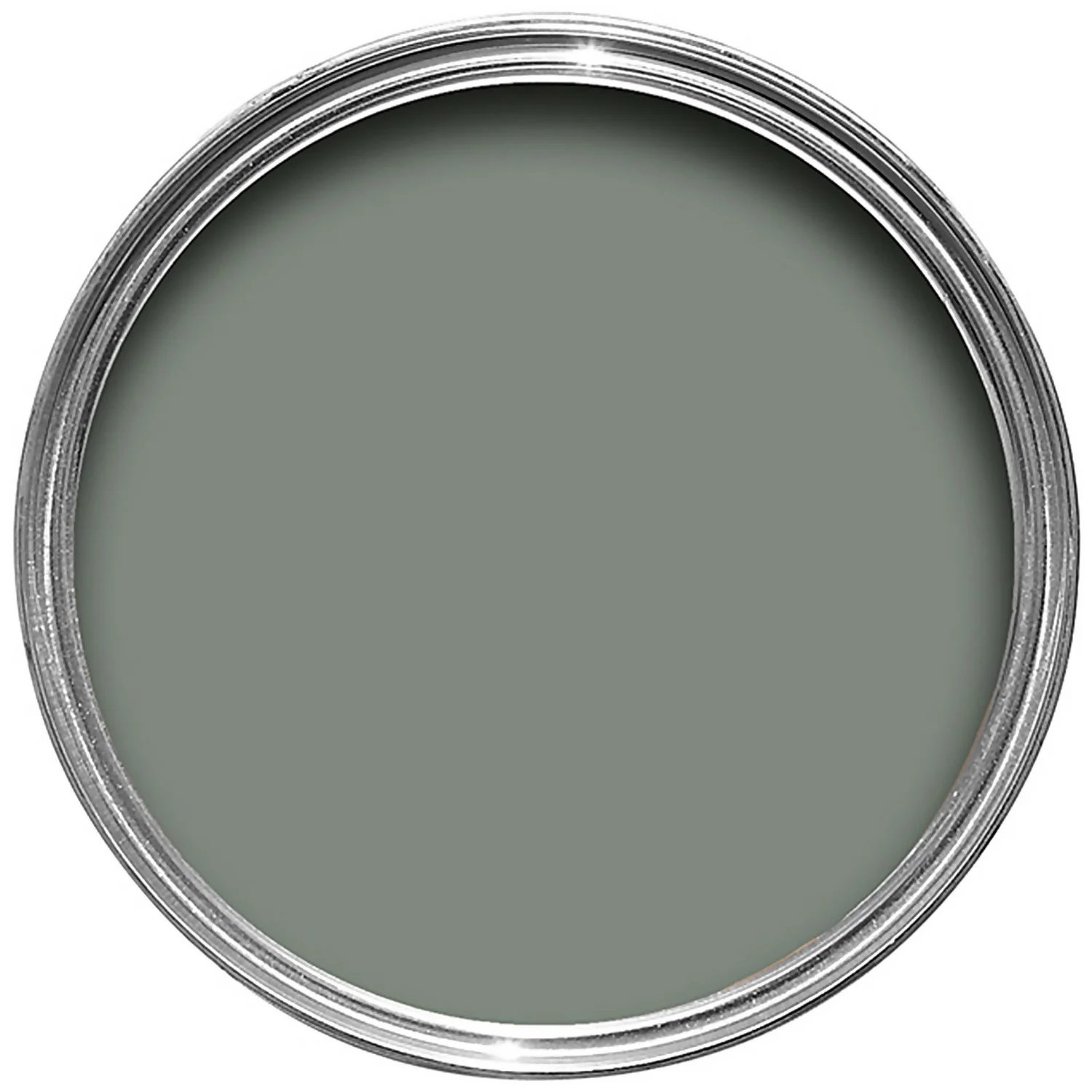 Farrow & Ball Exterior Eggshell Paint Card Room Green - 2.5L 4 Farrow & Ball Exterior Eggshell Paint Card Room Green - 2.5L - Image 2