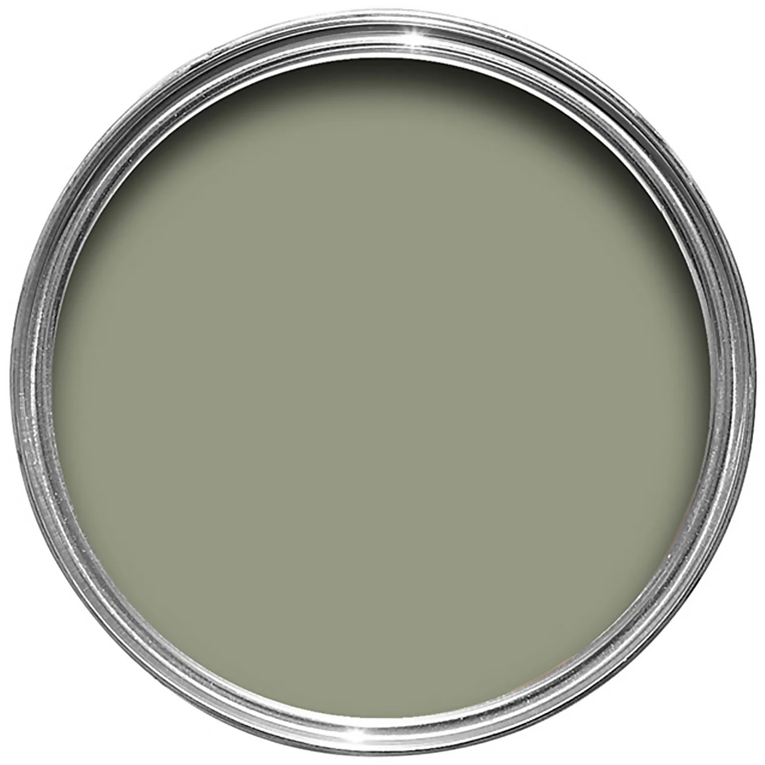 Farrow & Ball Exterior Eggshell Lichen - 750ml 5 Farrow & Ball Exterior Eggshell Lichen - 750ml - Image 3
