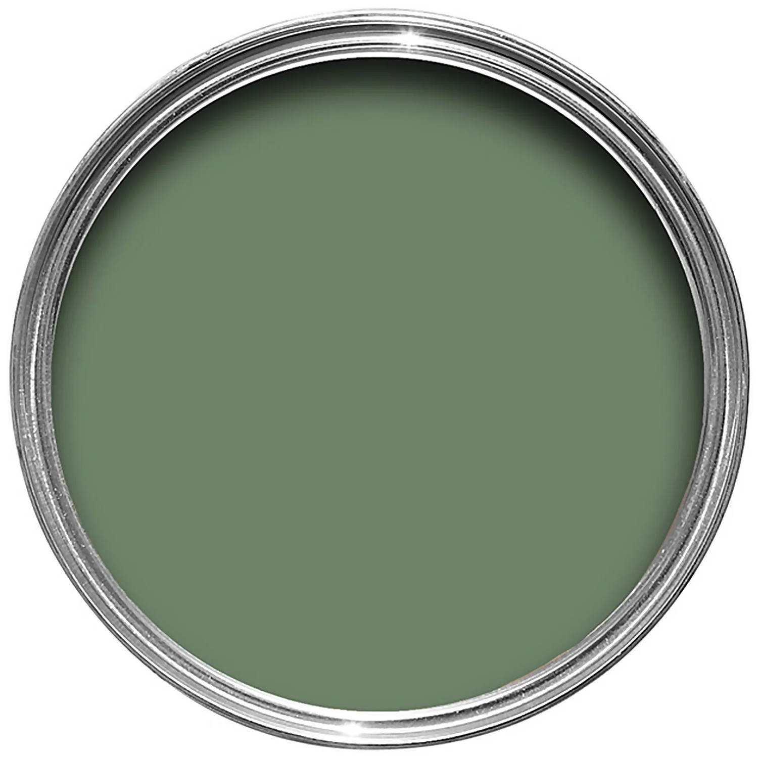 Farrow & Ball Exterior Eggshell Calke Green - 750ml 4 Farrow & Ball Exterior Eggshell Calke Green - 750ml - Image 2