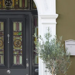 Sandtex® Ultra Smooth Masonry Paint Olive - 5L 17 Sandtex® Ultra Smooth Masonry Paint Olive - 5L -Laura Paint Shop 12808376 1084871500122906