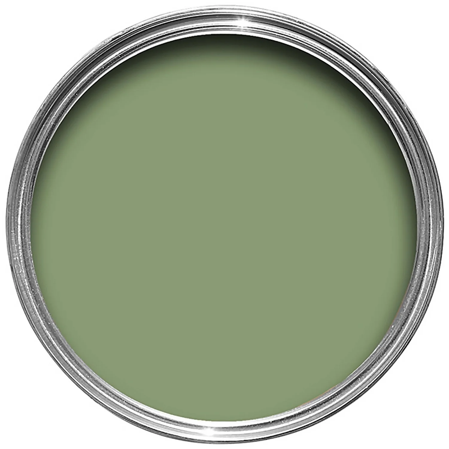 Farrow & Ball Exterior Eggshell Paint Yeabridge Green - 750ml 4 Farrow & Ball Exterior Eggshell Paint Yeabridge Green - 750ml - Image 2