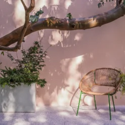 Farrow & Ball Exterior Masonry Paint Setting Plaster - 5L 7 Farrow & Ball Exterior Masonry Paint Setting Plaster - 5L -Laura Paint Shop 12809669 1584951338844470