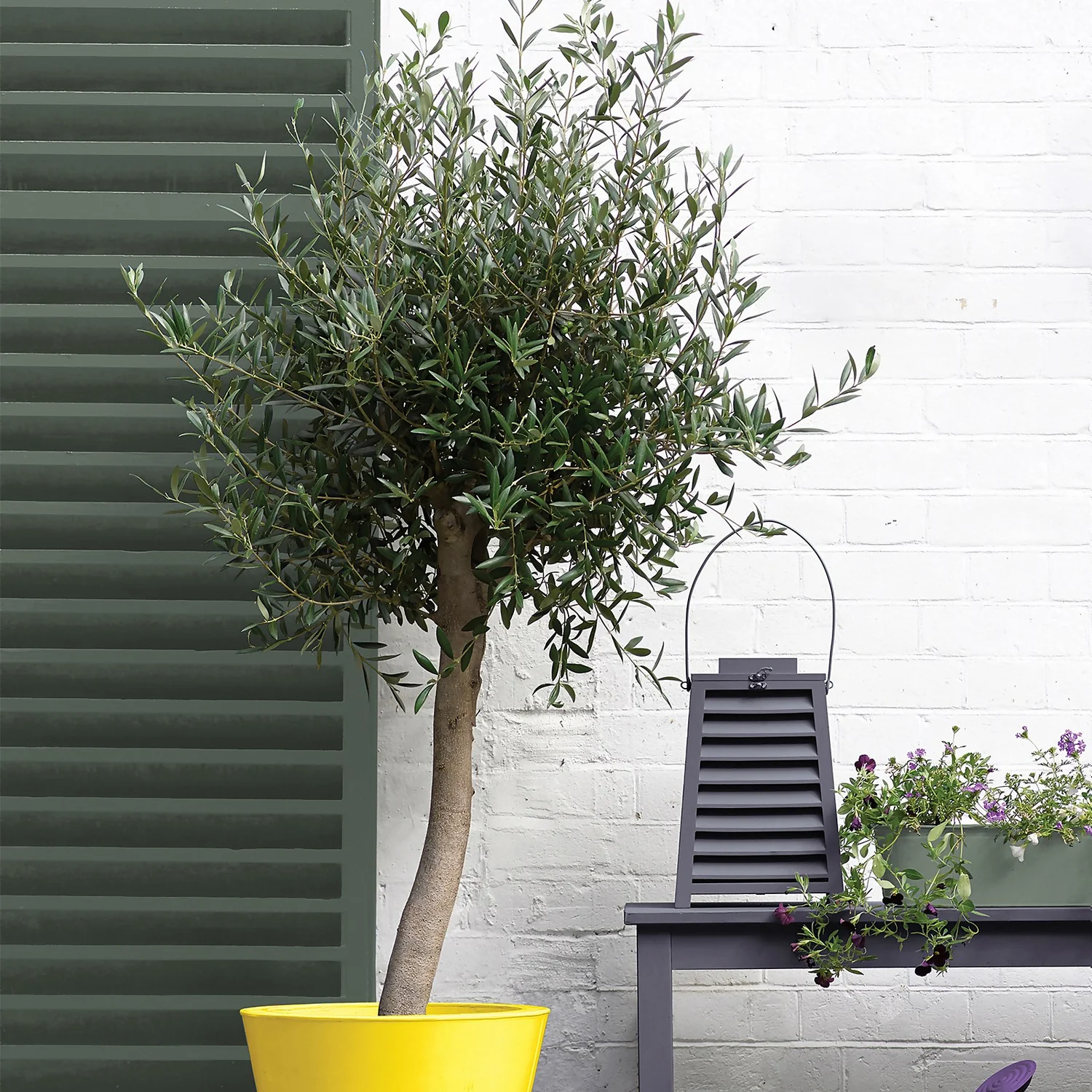 Sandtex® Exterior 10 Year Satin Paint Fern Canopy - 750ml 7 Sandtex® Exterior 10 Year Satin Paint Fern Canopy - 750ml - Image 5