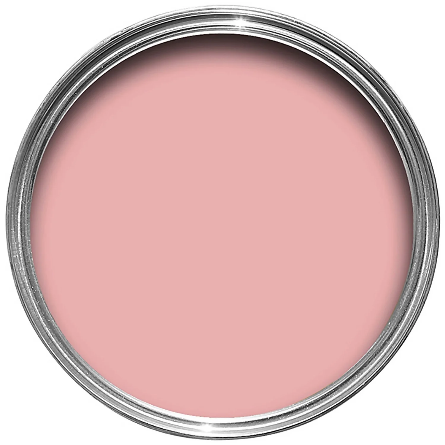 Farrow & Ball Exterior Eggshell Paint Nancy's Blushes - 2.5L 4 Farrow & Ball Exterior Eggshell Paint Nancy's Blushes - 2.5L - Image 2