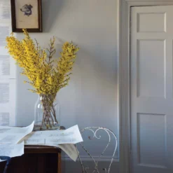 Farrow & Ball Full Gloss Paint Purbeck Stone - 2.5L 9 Farrow & Ball Full Gloss Paint Purbeck Stone - 2.5L -Laura Paint Shop 12810996 1894909948479486