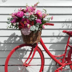 Sandtex® Rapid Dry Satin Paint Clay White - 750ml 14 Sandtex® Rapid Dry Satin Paint Clay White - 750ml -Laura Paint Shop 12815747 1924951367590050