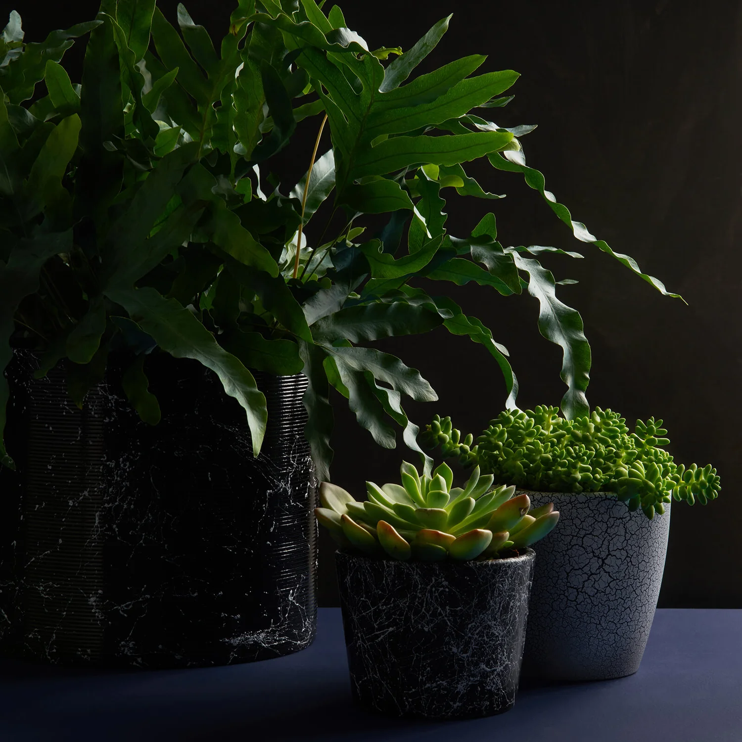 Craig & Rose Artisan Crackle Effect Spray Paint - Black - 400ml 5 Craig & Rose Artisan Crackle Effect Spray Paint - Black - 400ml - Image 3