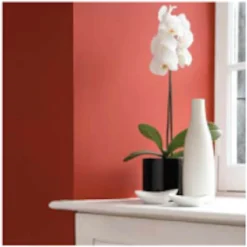 Craig & Rose 1829 Gloss Paint Oriental Red - 750ml -Laura Paint Shop 12820960 2274833221472999