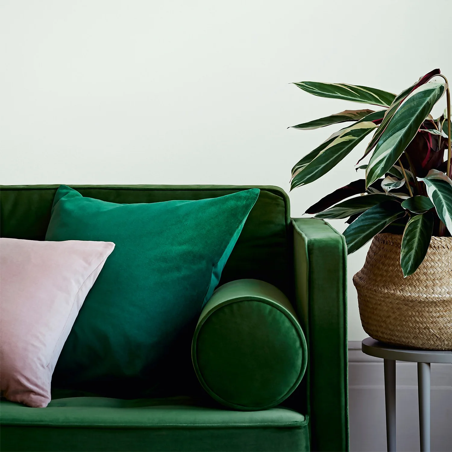 Crown Easyclean® Washable & Wipeable Multi Surface Matt Paint Botanical Extract® - 2.5L 6 Crown Easyclean® Washable & Wipeable Multi Surface Matt Paint Botanical Extract® - 2.5L - Image 4