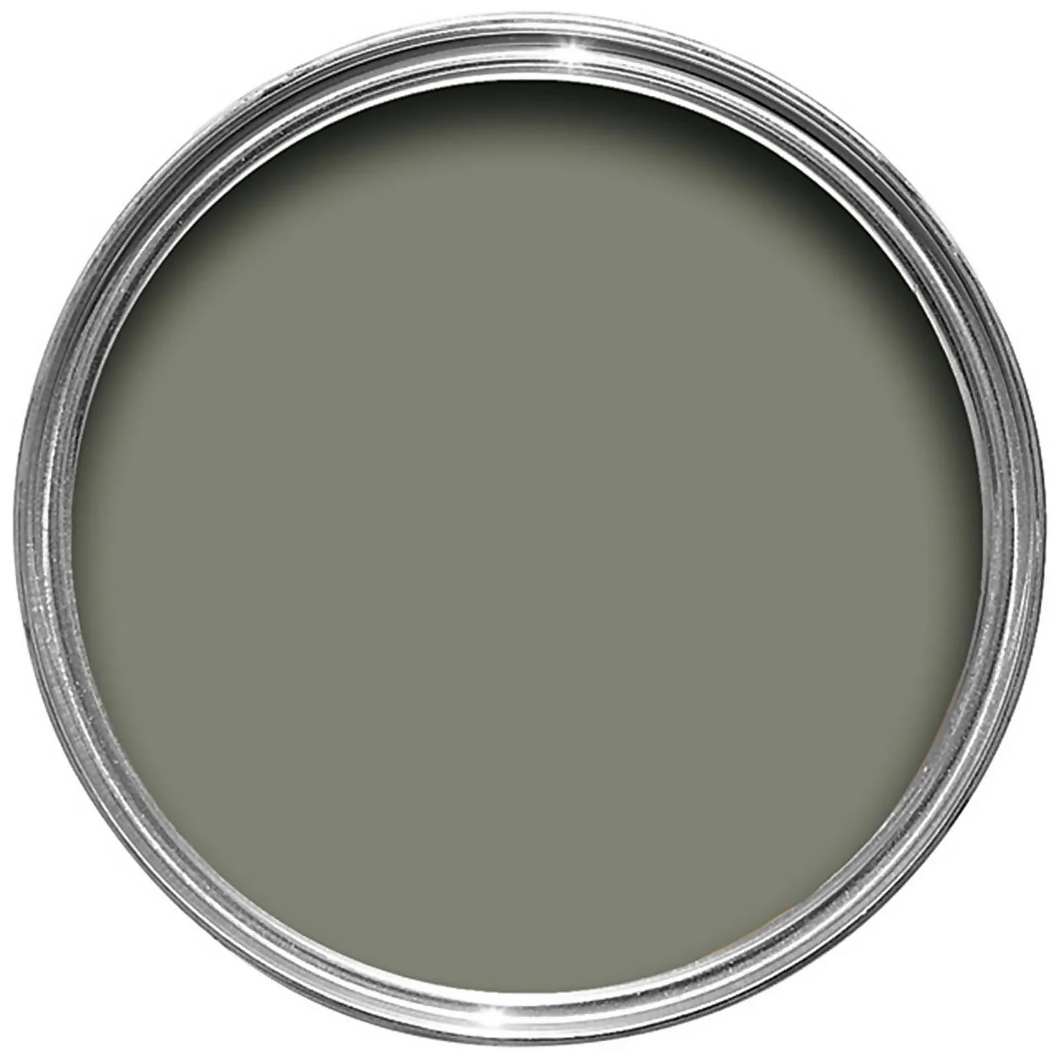 Farrow & Ball Exterior Eggshell Paint Treron - 750ml 4 Farrow & Ball Exterior Eggshell Paint Treron - 750ml - Image 2