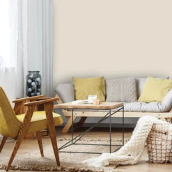 Homebase Silk Emulsion Paint Cottonseed - 2.5L 9 Homebase Silk Emulsion Paint Cottonseed - 2.5L -Laura Paint Shop 12836835 2004833206802495