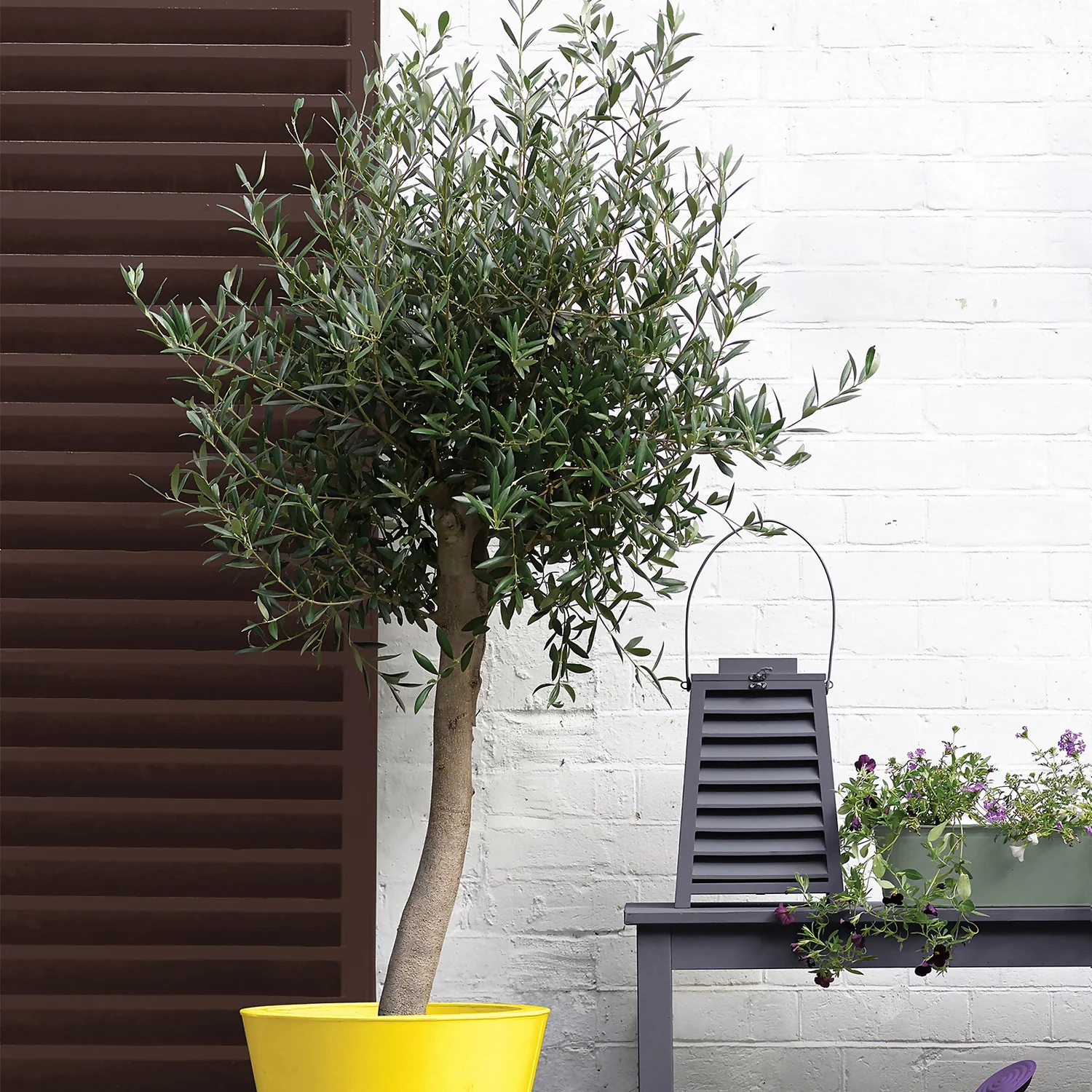 Sandtex® Exterior 10 Year Gloss Paint Chestnut Brown - 750ml 7 Sandtex® Exterior 10 Year Gloss Paint Chestnut Brown - 750ml - Image 5