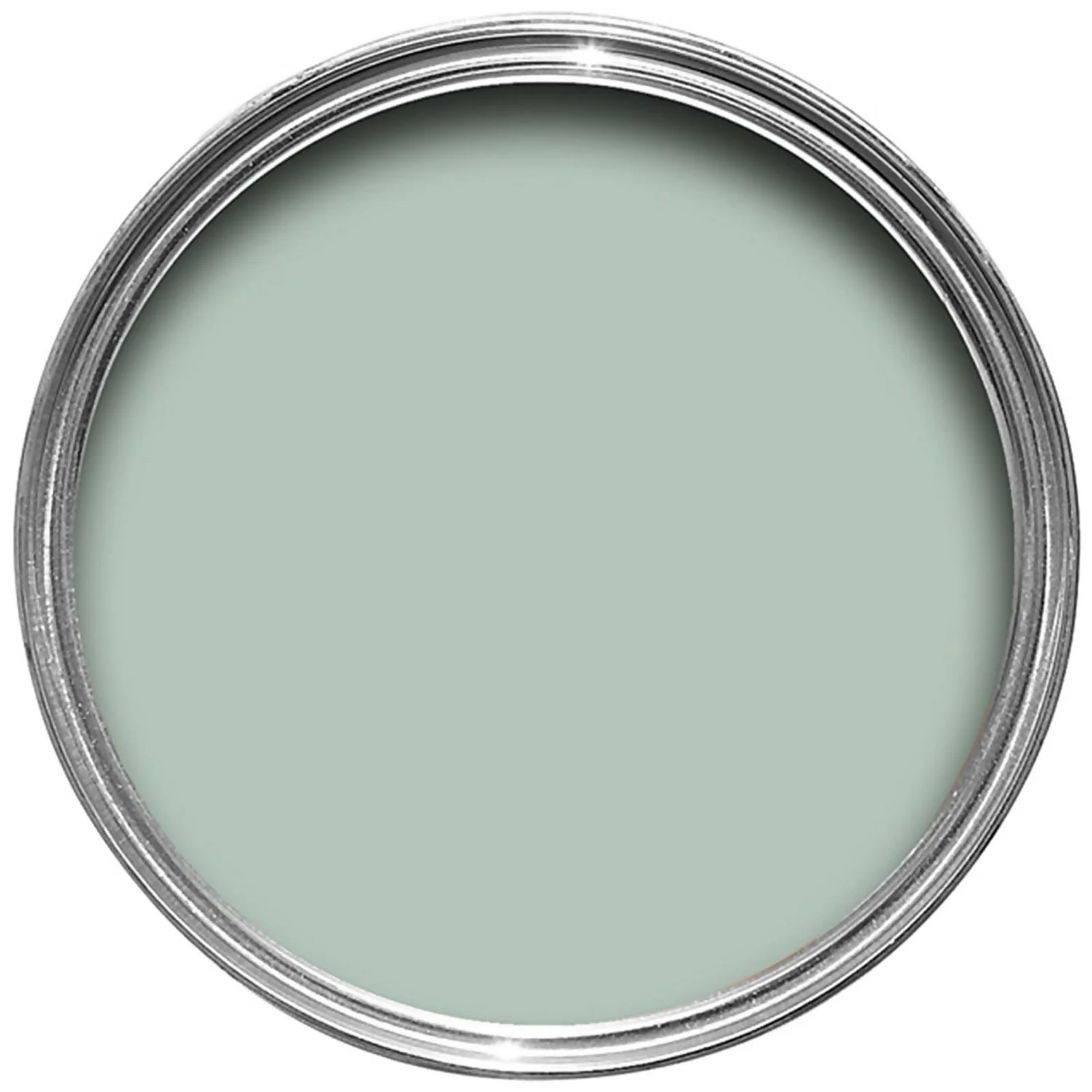 Farrow & Ball Exterior Eggshell Paint Teresa's Green - 750ml 4 Farrow & Ball Exterior Eggshell Paint Teresa's Green - 750ml - Image 2