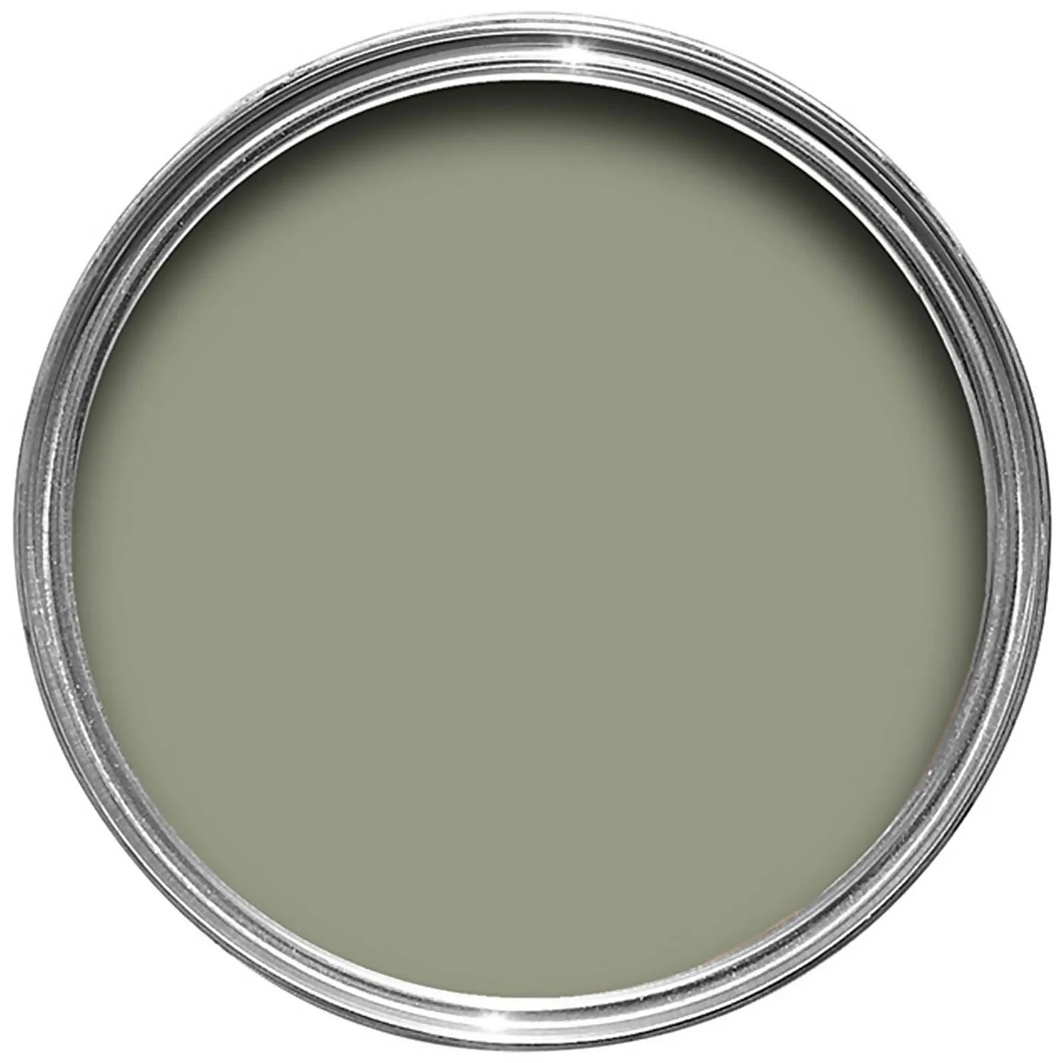 Farrow & Ball Exterior Masonry Lichen - 5L 4 Farrow & Ball Exterior Masonry Lichen - 5L - Image 2