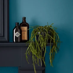 Crown Easyclean Bathroom Paint Teal - 0.04L 10 Crown Easyclean Bathroom Paint Teal - 0.04L -Laura Paint Shop 12886566 2014853989681893