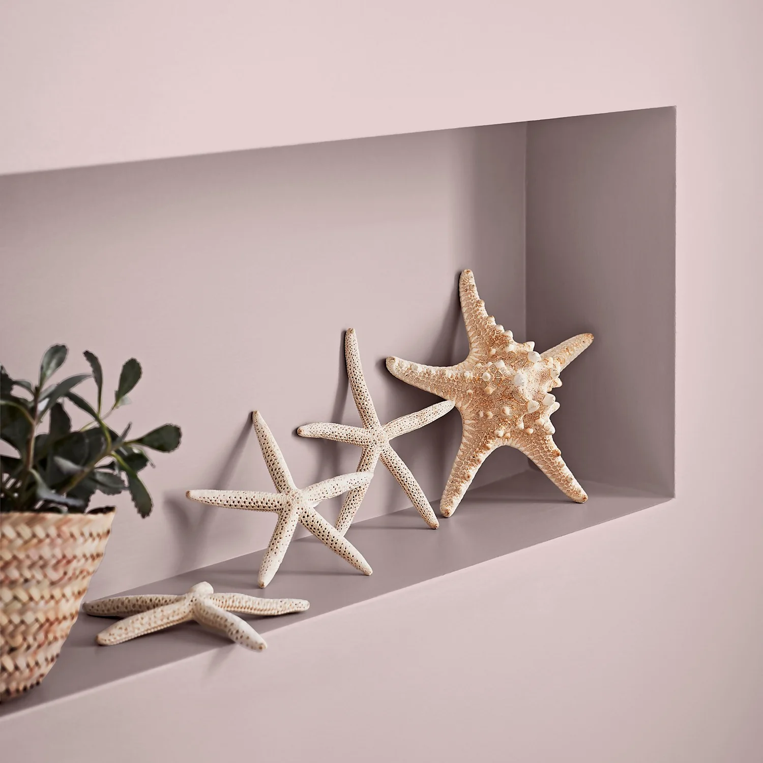 Crown Easyclean® Mouldguard+ Bathroom Mid Sheen Washable Multi Surface Paint Pashmina® - 2.5L 5 Crown Easyclean® Mouldguard+ Bathroom Mid Sheen Washable Multi Surface Paint Pashmina® - 2.5L - Image 3